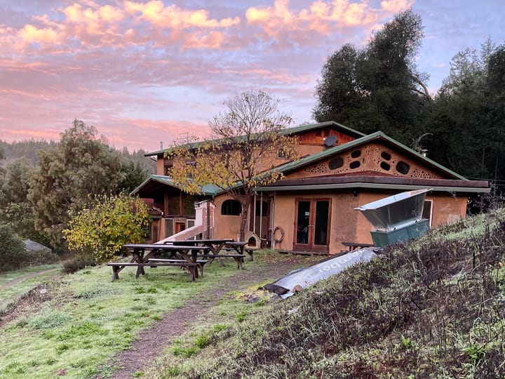 Seeding New Visions 👁️ 👁️