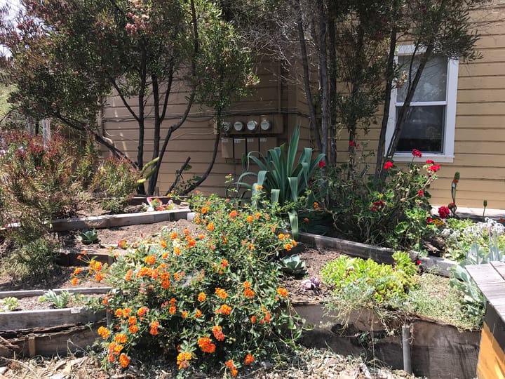 Our Newest Project is in West Oakland!